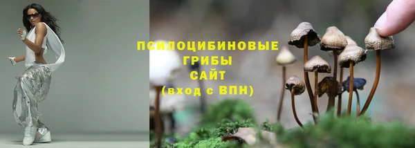 крисы Балабаново