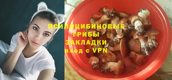 крисы Балабаново